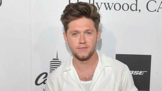 Niall Horan's Announced Global Live Stream 2020 : Watch Time & Tv Schedule