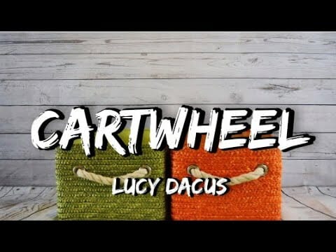 Cartwheel Lucy Dacus Lyrics