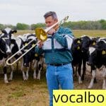 Do Cows Like Music