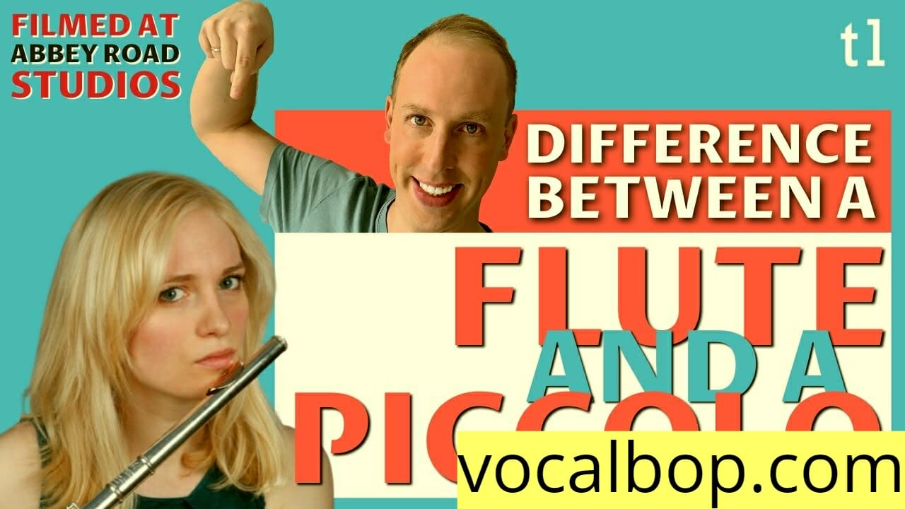 Difference Between Flute and Piccolo