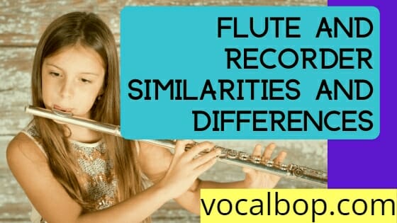 Difference Between Recorder and Flute