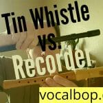 Recorder Vs Tin Whistle