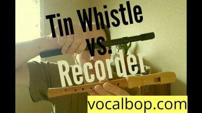 Recorder Vs Tin Whistle