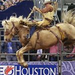 Houston Rodeo 2023