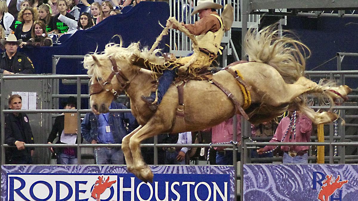 Houston Rodeo 2023