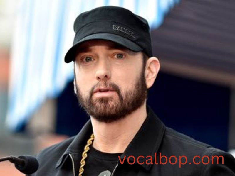Eminem In Concert 2024 Bride Clarita