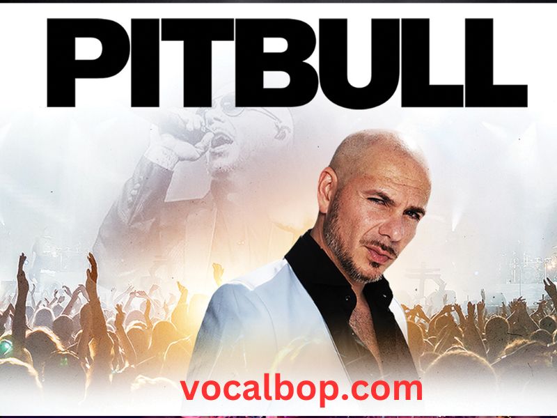 Pitbull Concert 2024 Chicago Edin Doralynne