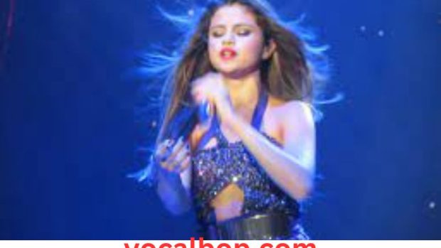 Selena Gomez Tour 2024