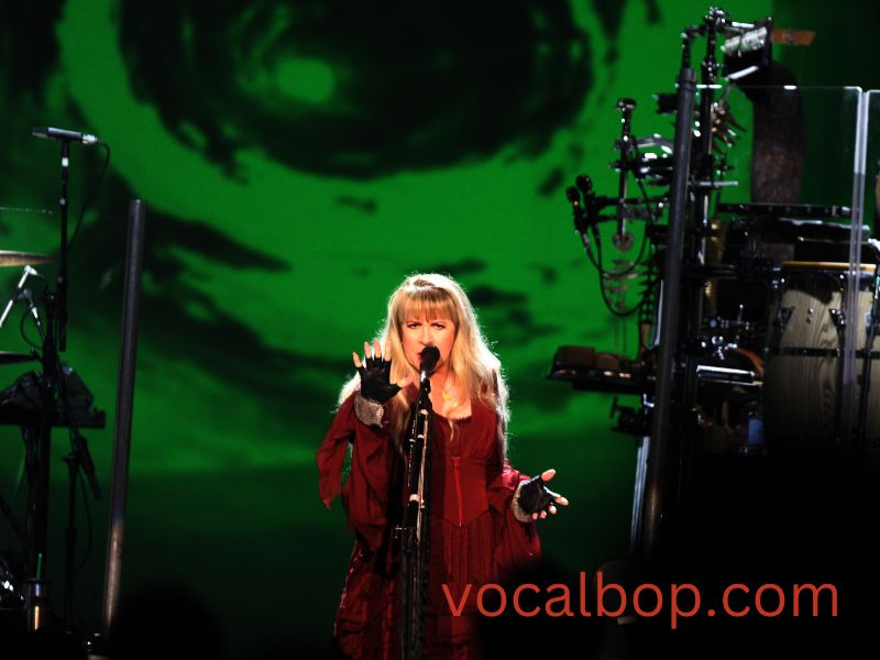 Stevie Nicks Grammys 2024 Gypsy Thekla